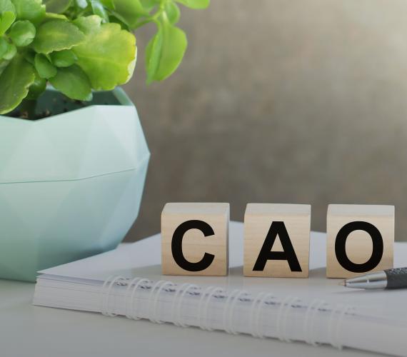 Blokjes van hout met de letters CAO