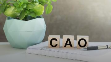 Blokjes van hout met de letters CAO